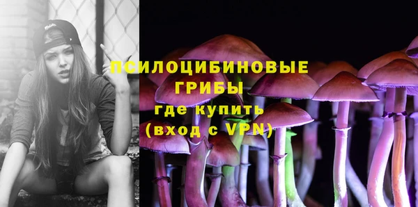 ПСИЛОЦИБИНОВЫЕ ГРИБЫ Верхнеуральск