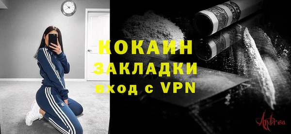 mdpv Бородино