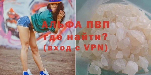 mdpv Бородино