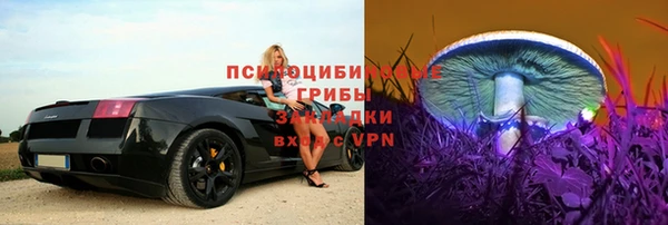 мдпв Богданович