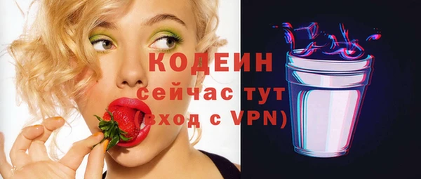 хмурый Верея