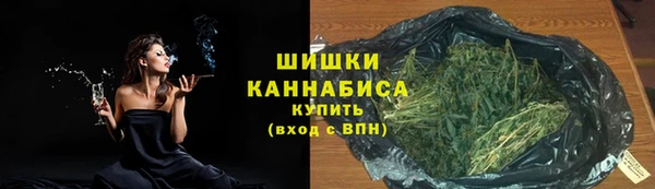 mdpv Бородино