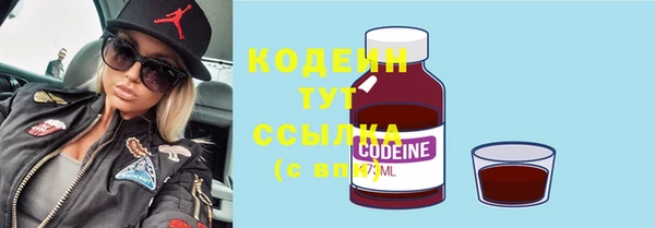 mdpv Бородино