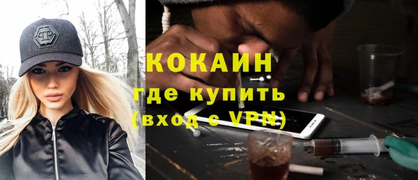 хмурый Верея